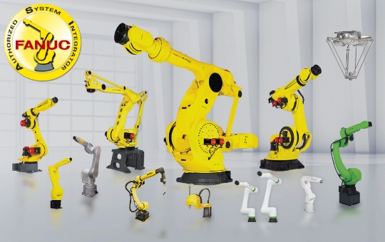 Fanuc Robotic Line